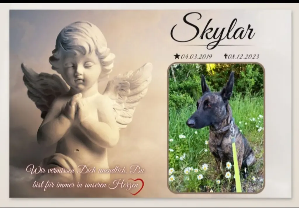 Condolence image of Claudia ❤️