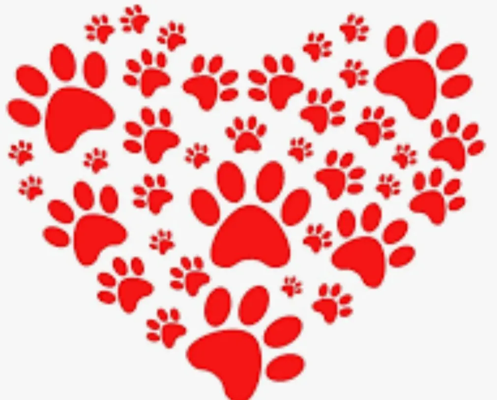 Condolence image of Claudia ❤️