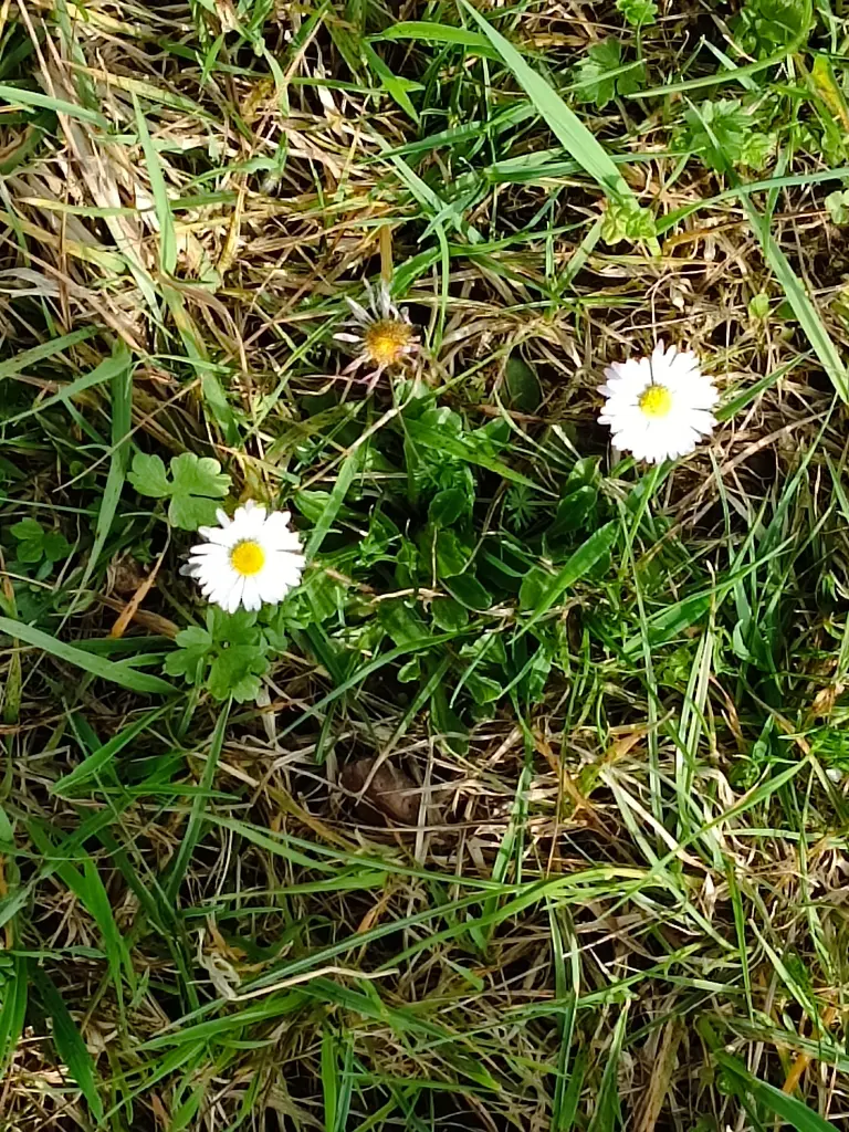 Condolence image of Claudia ❤️