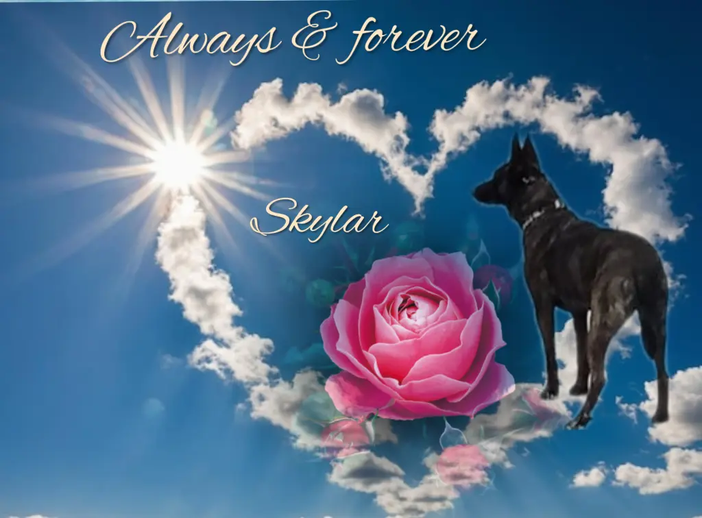 Condolence image of Immer im Herzen ❤️