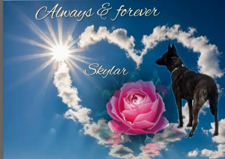 Condolence image of Claudia ❤️