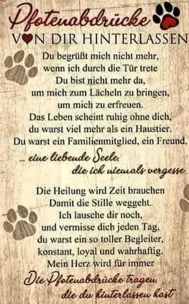 Condolence image of C.mit Skylar ❤️ ganz tief im ❤️