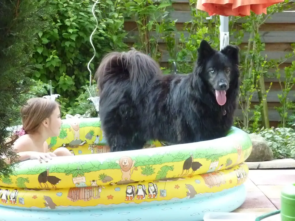 Condolence image of Melanie Müller