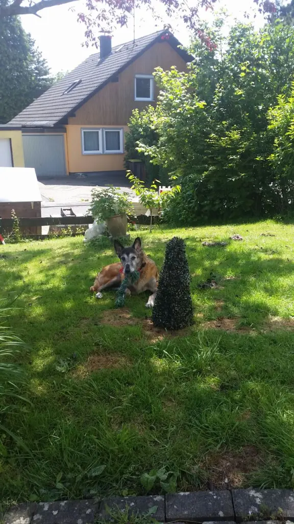 Condolence image of Janina