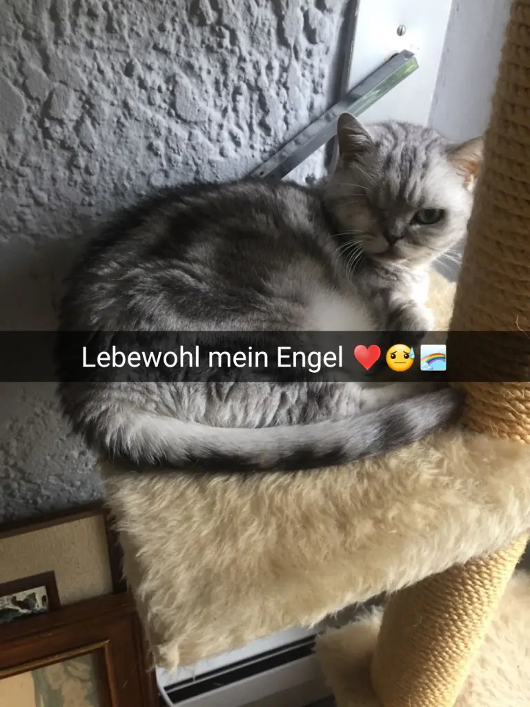 Condolence image of Julia