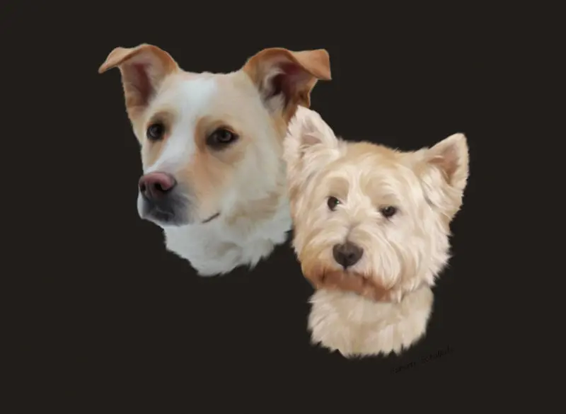 Condolence image of Yvonne und Andreas mit Elisa 