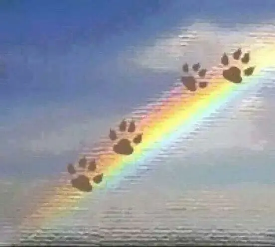 Condolence image of Marion