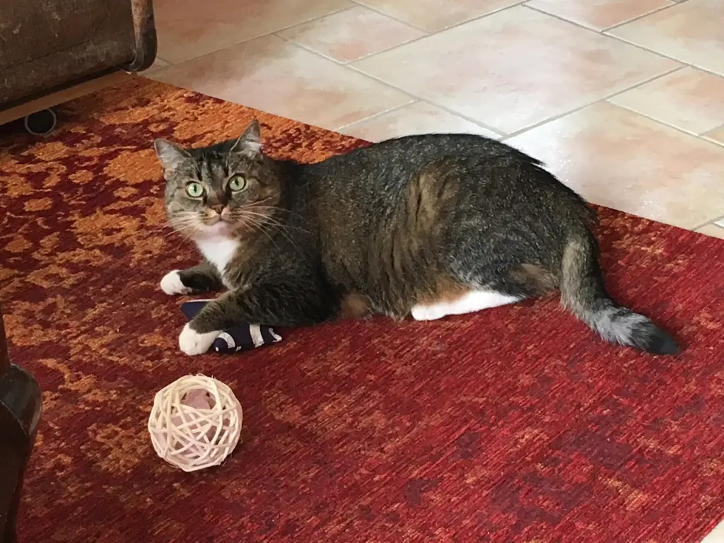 Andachtsbild von Anni