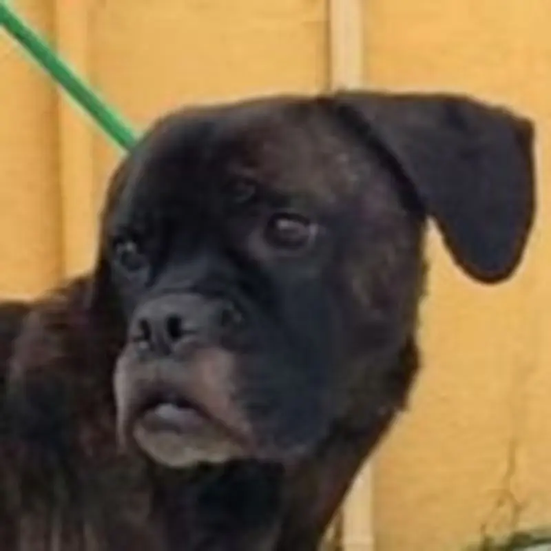 Condolence image of f. Odin v. Herzen