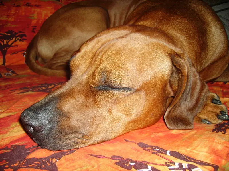 Condolence image of Britta