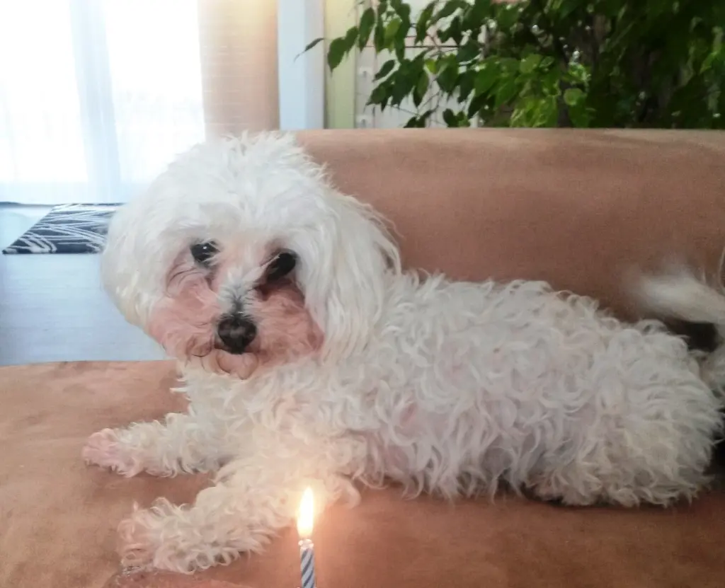 Condolence image of Unbekannt