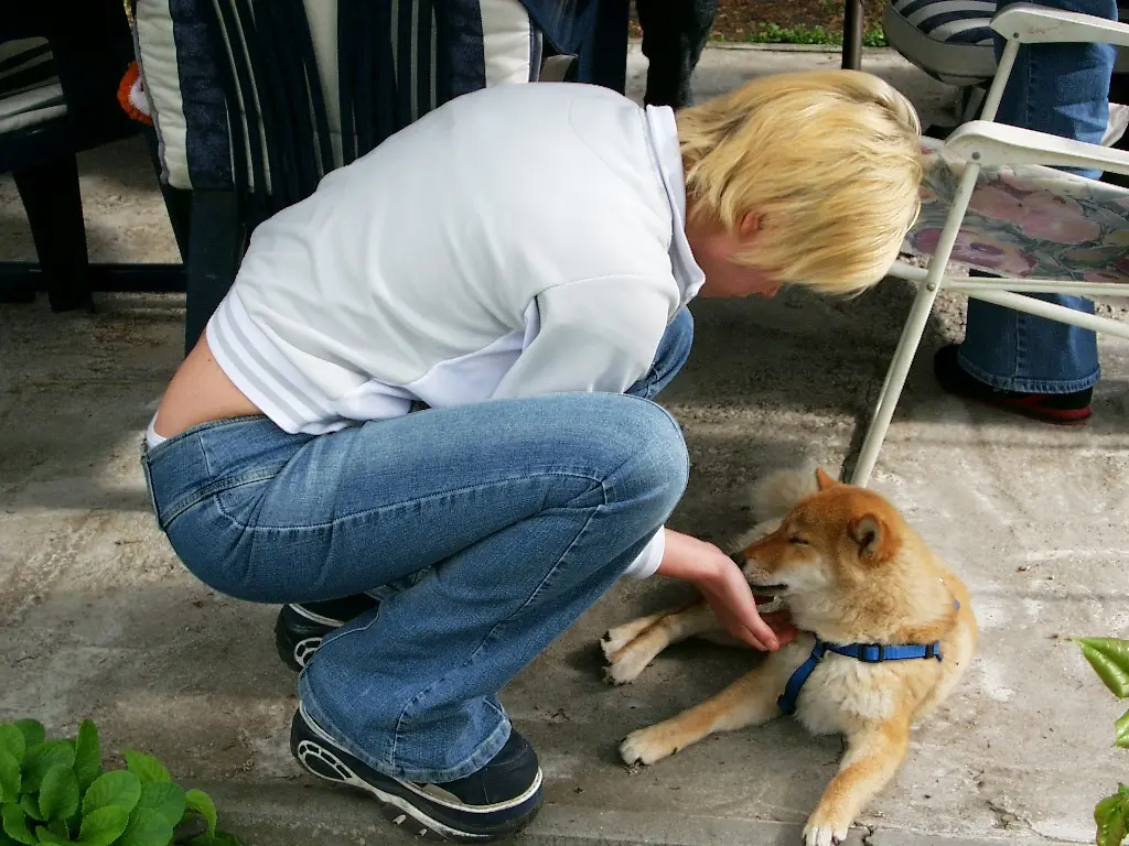 Condolence image of Anne mit Nero im Herzen