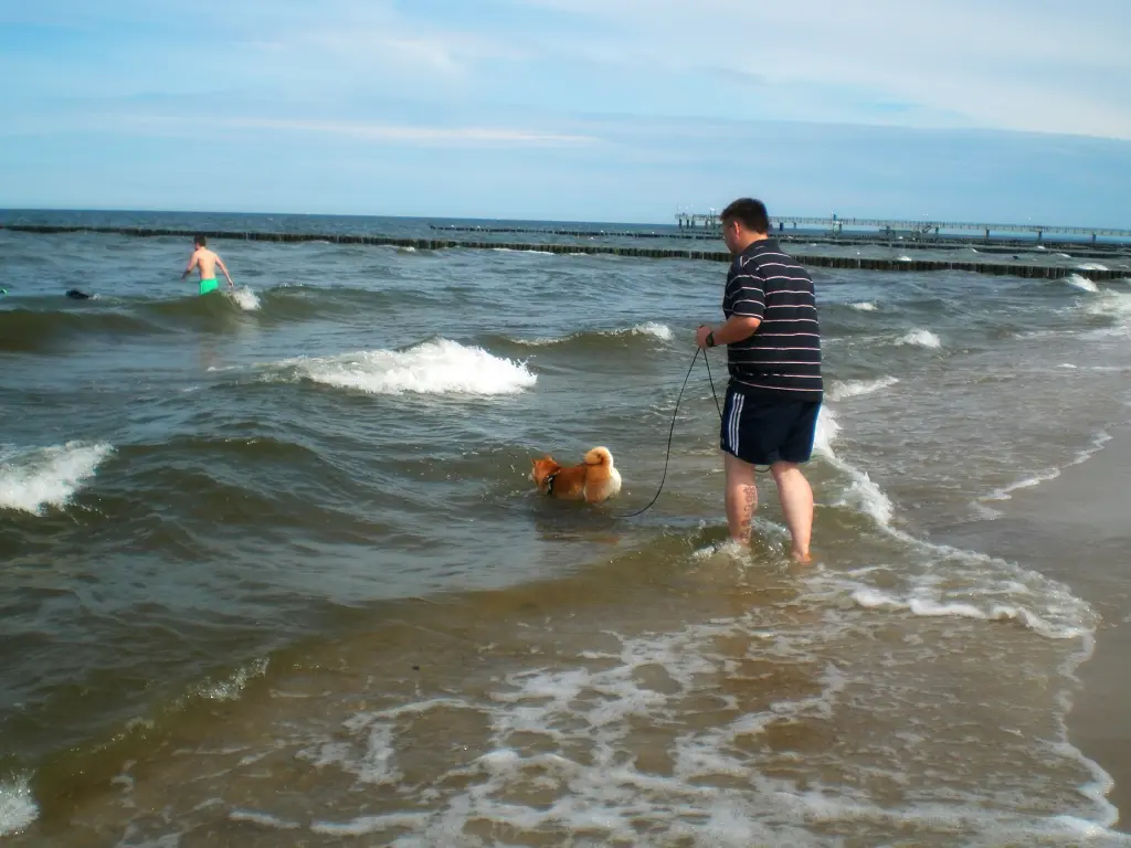 Condolence image of Anne mit Nero im Herzen