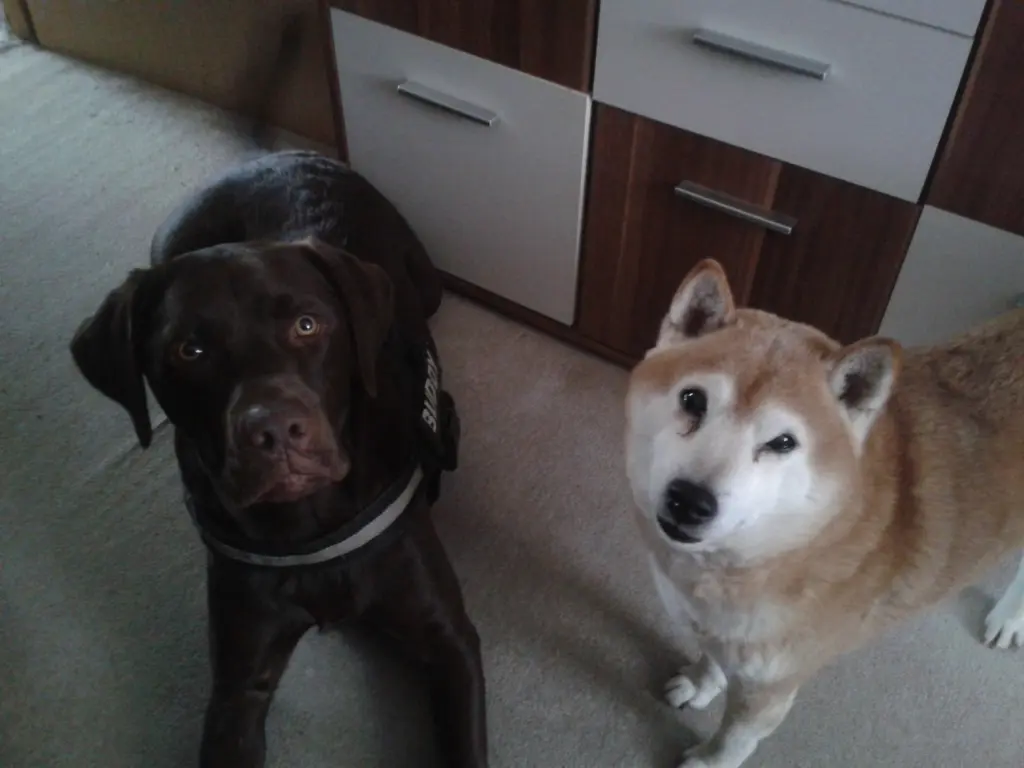 Condolence image of Unbekannt