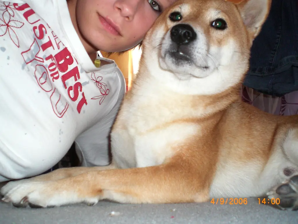 Condolence image of Frauchen