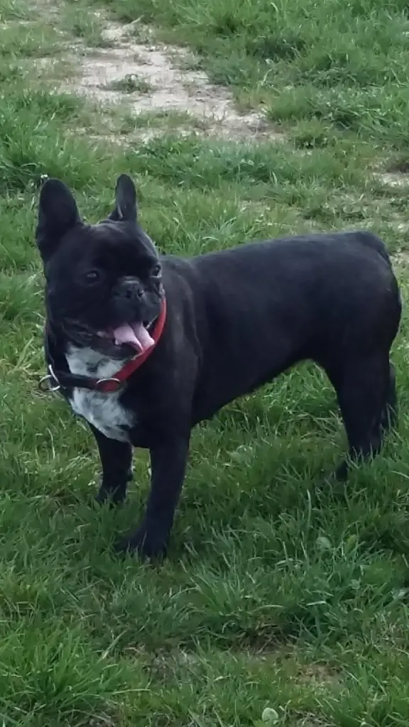 Condolence image of Eddy Teršek