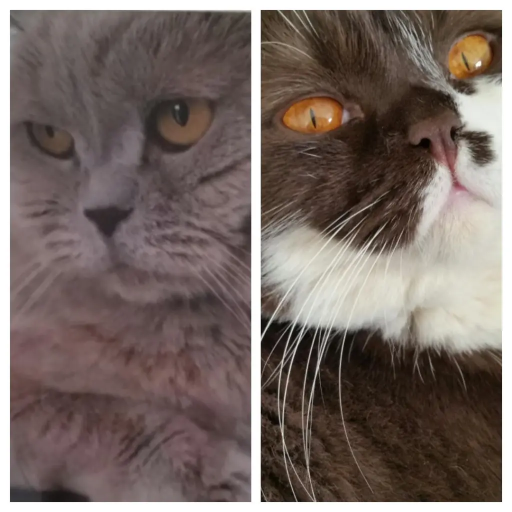 Condolence image of Andrea und Dirk 