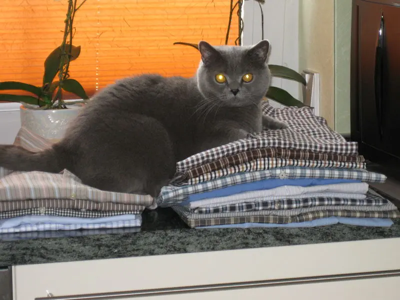 Image from Krümelchen