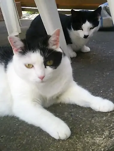 Condolence image of diana busch