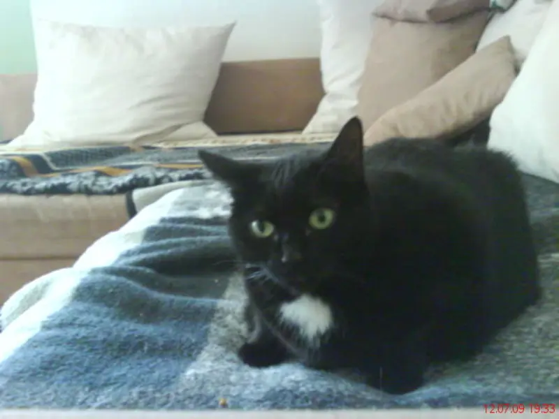 Condolence image of diana busch