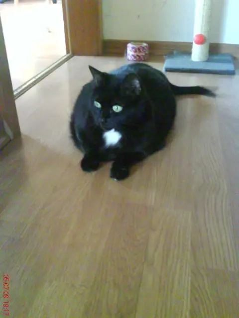 Condolence image of diana busch