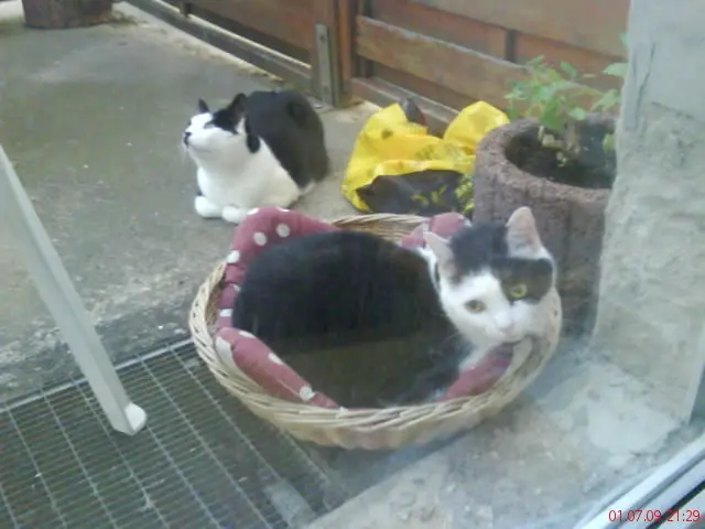 Condolence image of diana busch