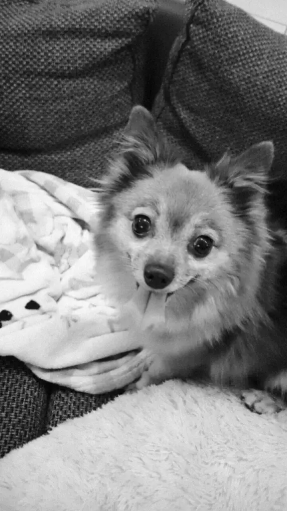 Condolence image of Unbekannt