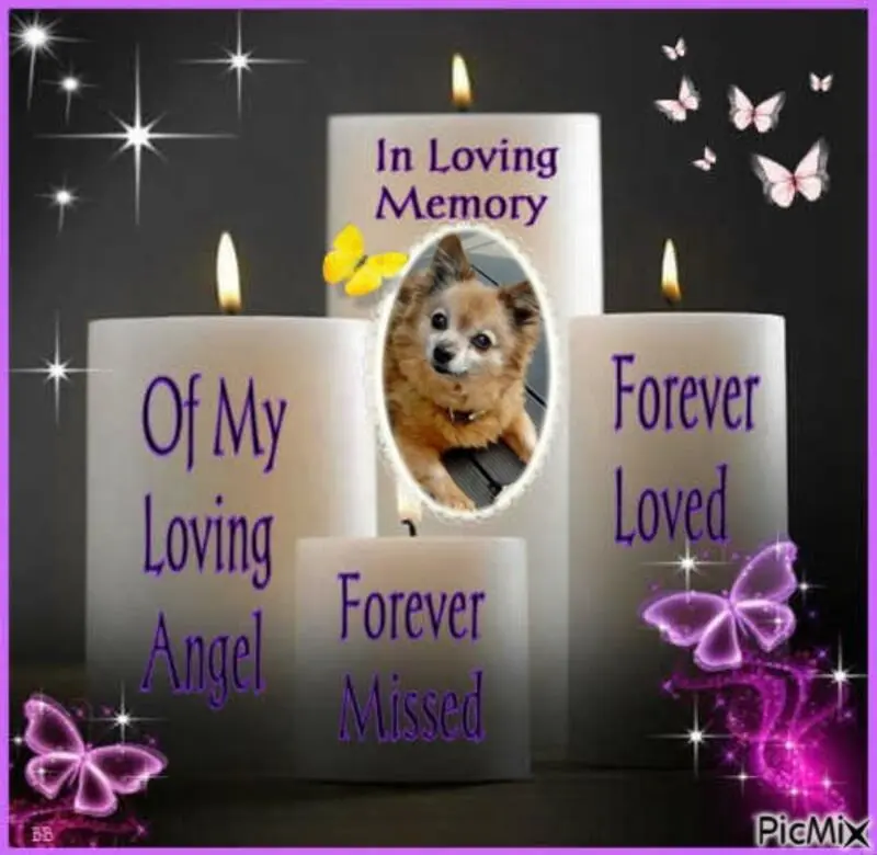 Condolence image of ❤️❤️❤️❤️❤️❤️❤️❤️❤️❤️❤️❤️❤️❤️