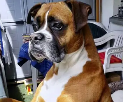 Condolence image of Nora