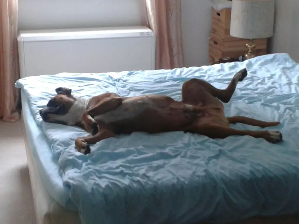 Condolence image of Nora