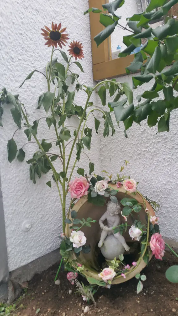 Condolence image of Nora