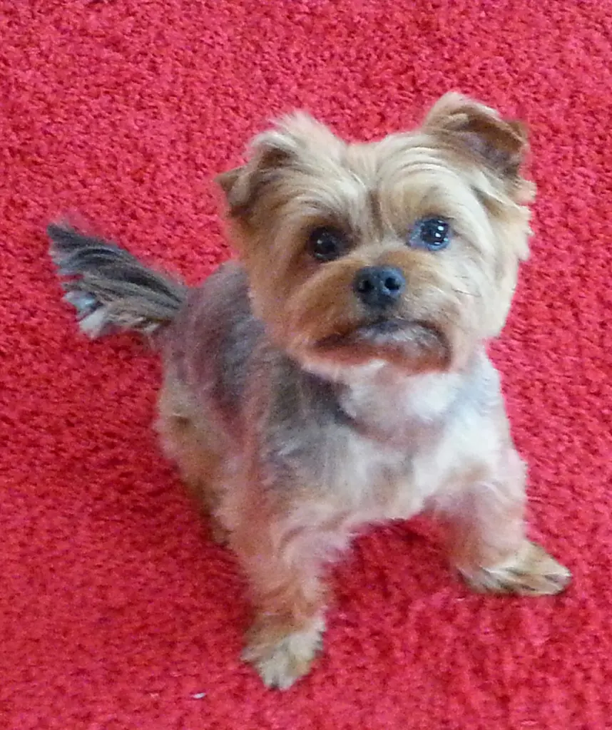 Condolence image of Berry