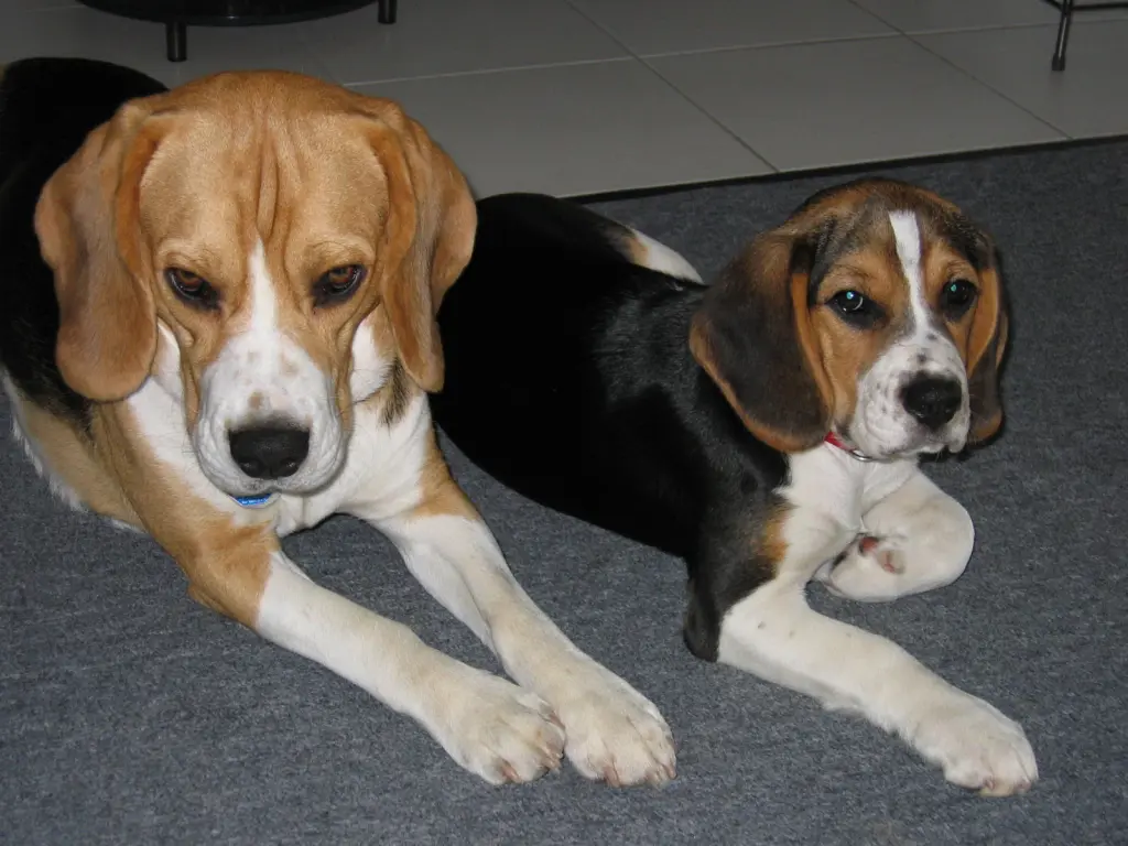 Condolence image of Thomas