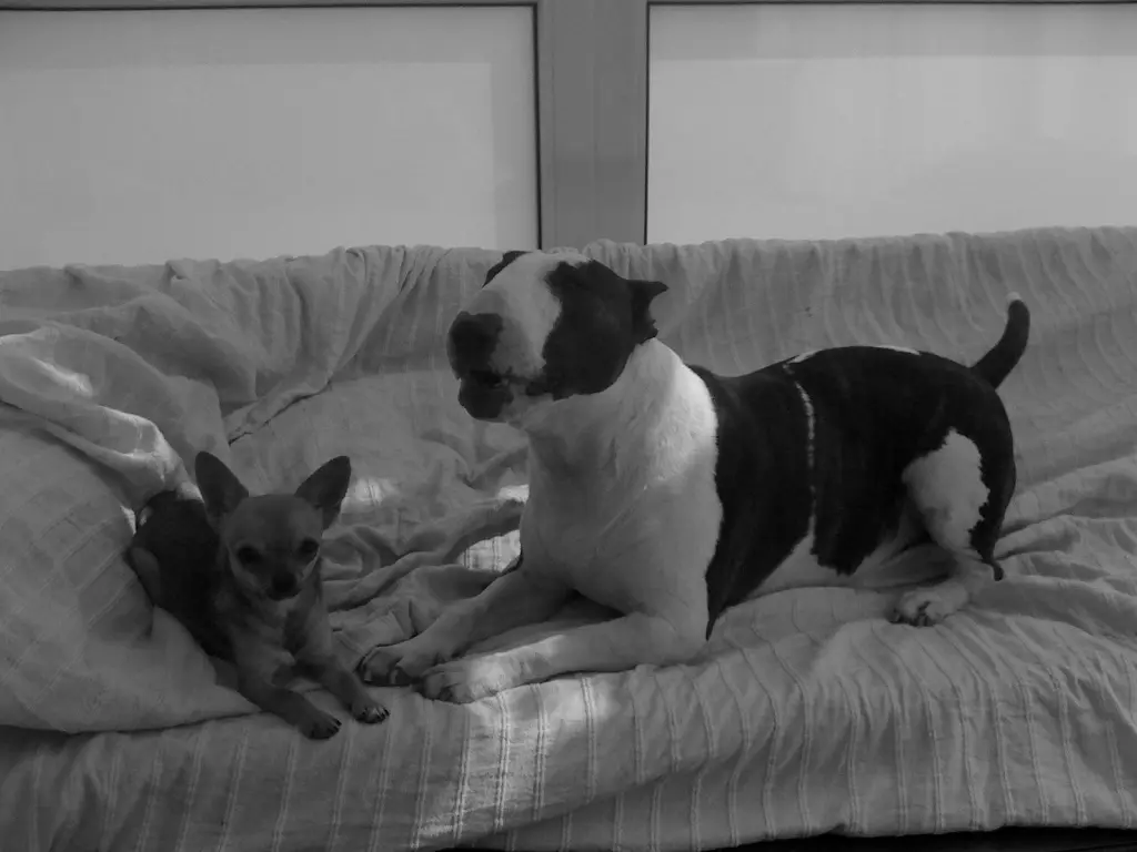 Condolence image of Vera Vuille-dit-Bille