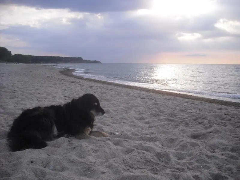 Andachtsbild von Julia