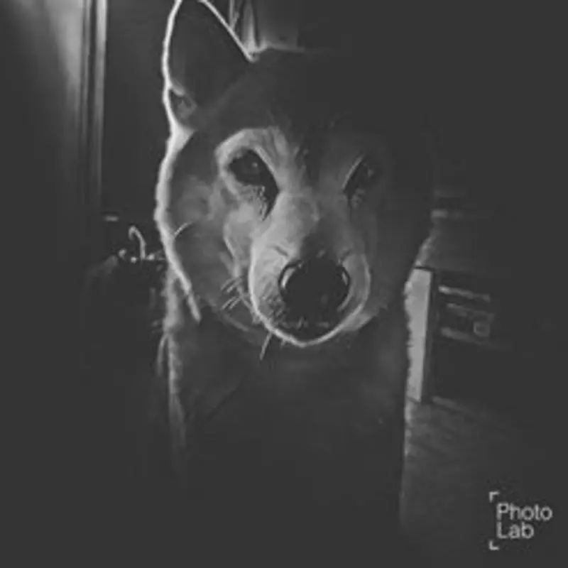 Condolence image of Anne mit Nero im Herzen