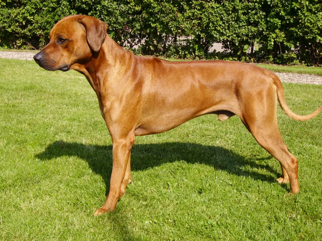 Condolence image of Britta