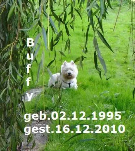 Bild von Buffy