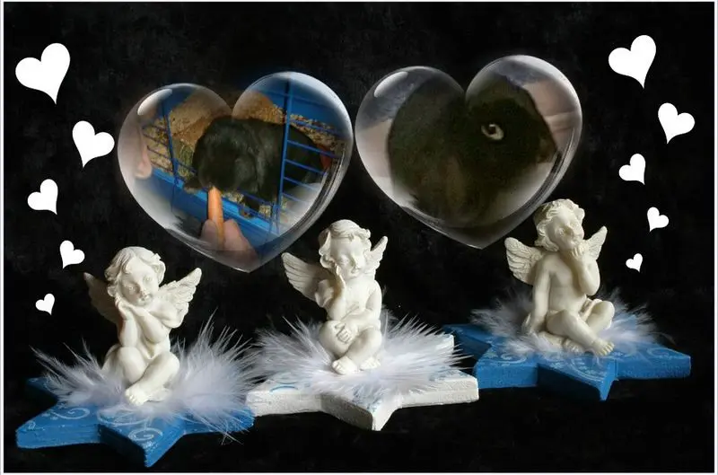 Andachtsbild von Unbekannt