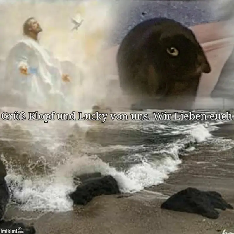 Condolence image of Karin