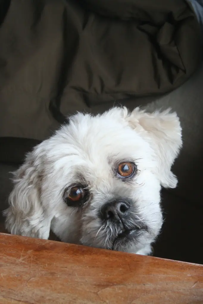 Condolence image of Andrea mit Noa im Herzen