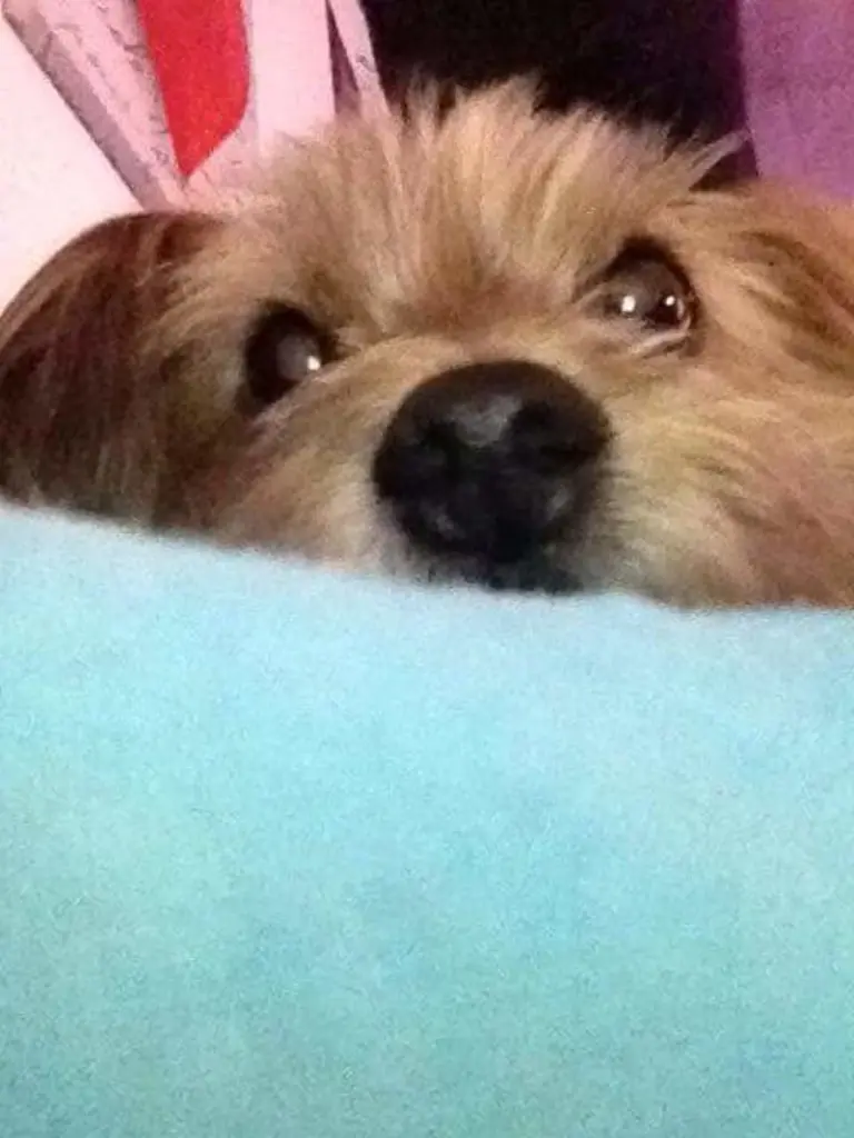 Condolence image of Yvonne