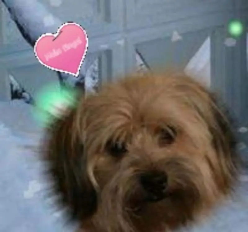 Condolence image of Yvonne