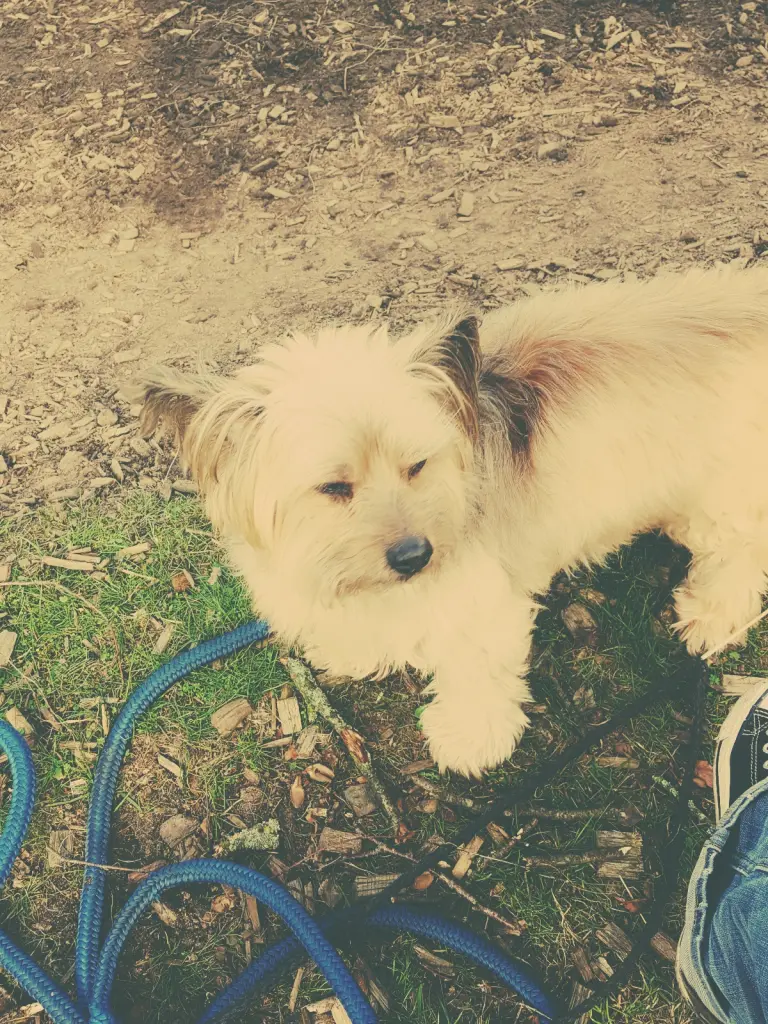 Condolence image of Yvonne