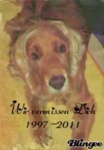 Image from ???Bobby???