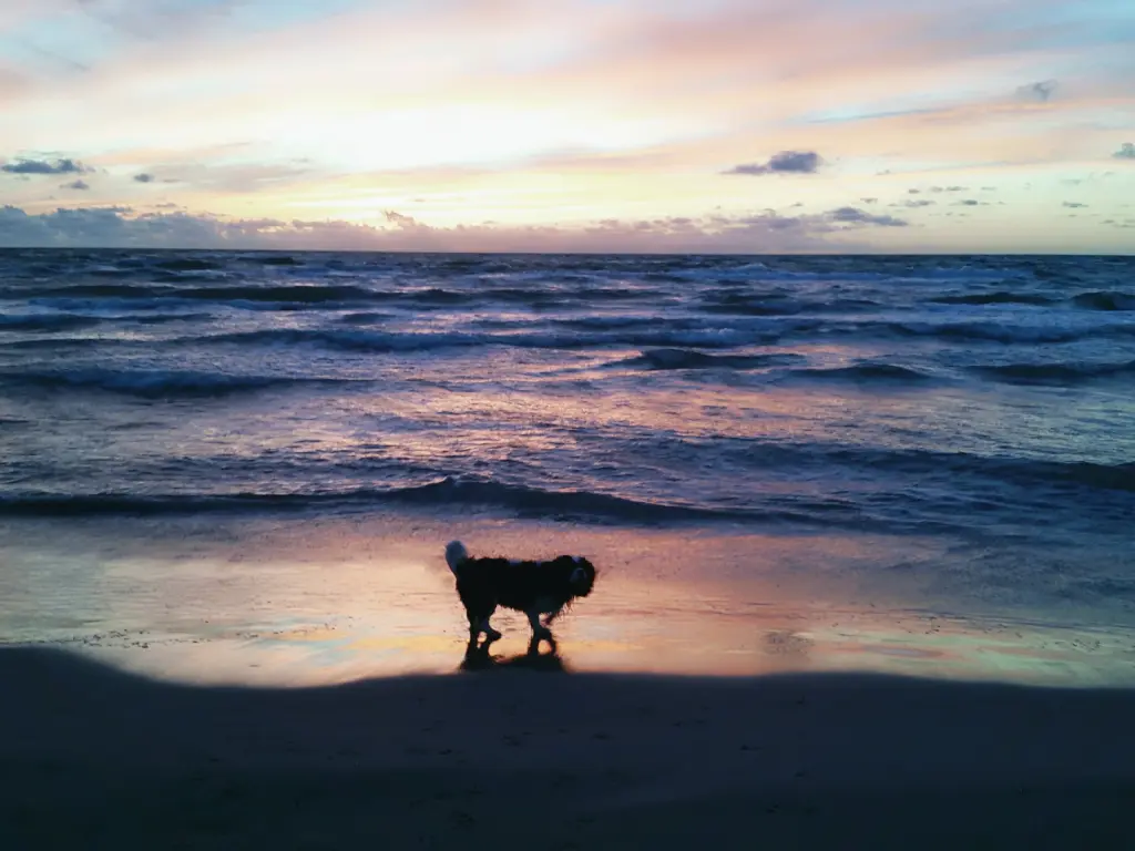 Condolence image of Annika