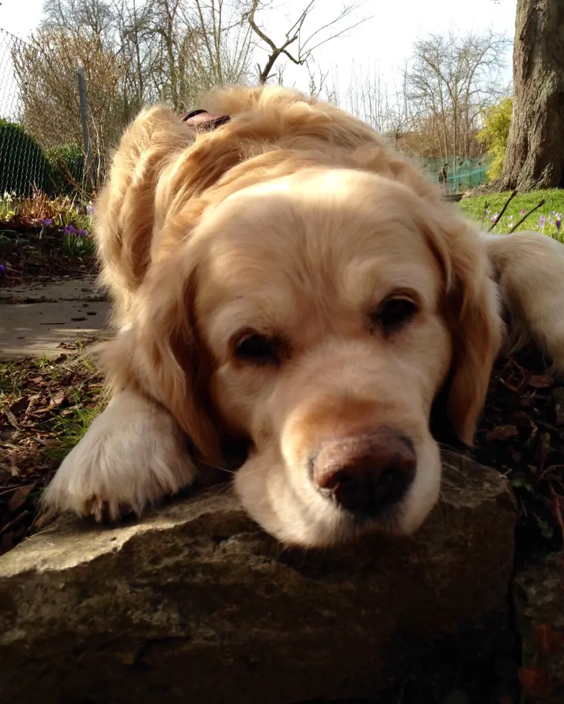 Condolence image of Martina 