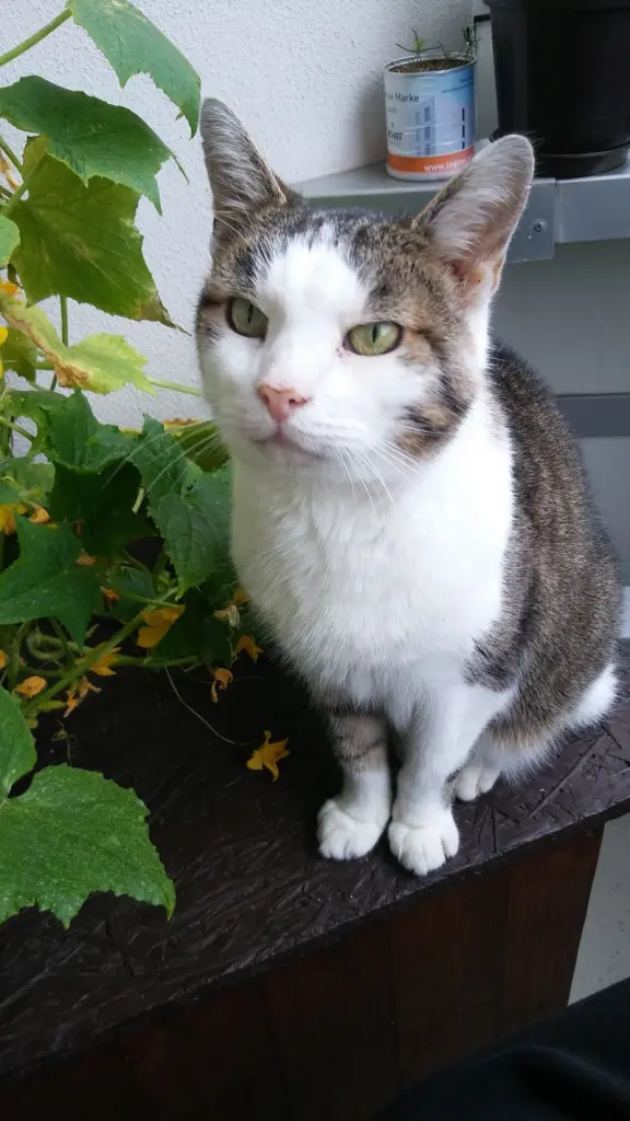 Condolence image of Anna