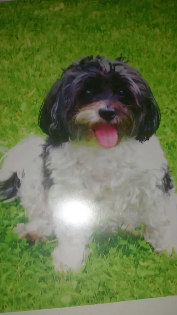 Condolence image of Sigrid 