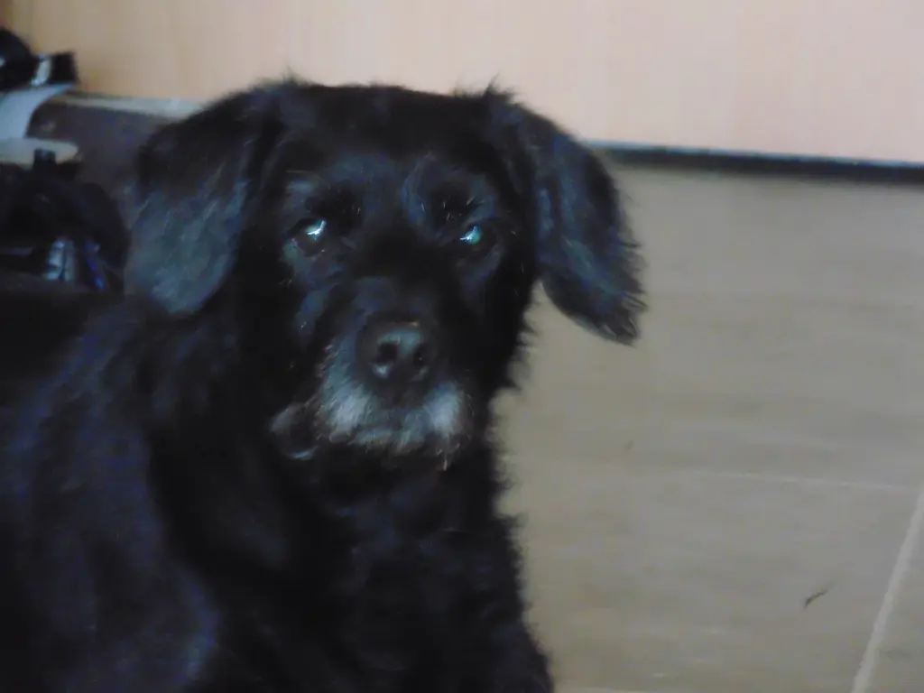 Condolence image of Steffi